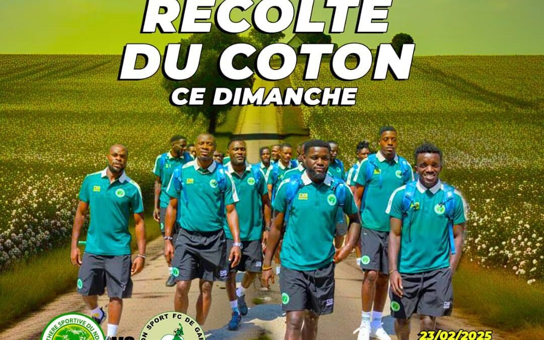 MTN ÉLITE ONE 14ème Journée : PANTHERE S.A. Vs COTON SPORT