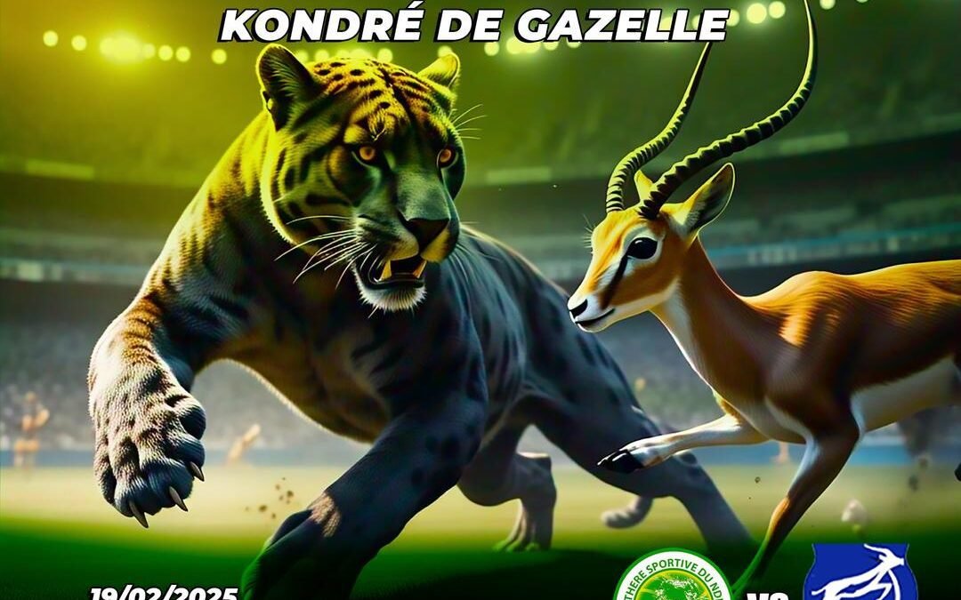 MTN ELITE ONE : PANTHERE S.A.   Vs   GAZELLE FC