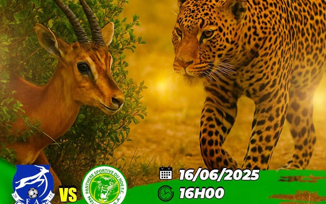 MTN Elite One 28 ième journée: Gazelle FA de Garoua Vs Panthère Sportive du Ndé